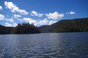 宁静湖畔的自然风光