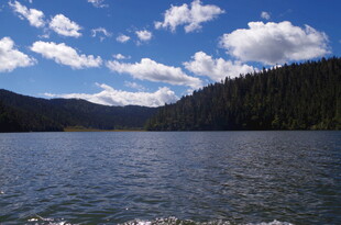 宁静湖景与远处山林风光