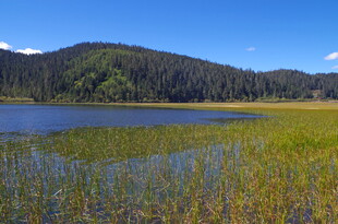 湖畔绿野 远山蓝天美景