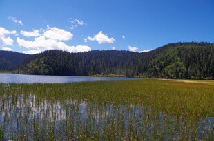 湖畔绿野 远山蓝天相映