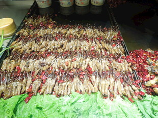 丰富多样的串串食材展示