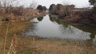 冬日乡村静谧小河景色