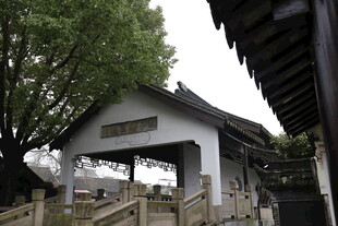 中式小屋旁的葱郁绿树