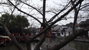 江南水乡冬日静谧景象