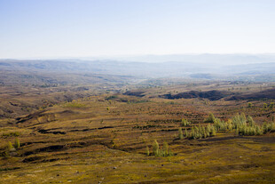 广袤原野的开阔风光