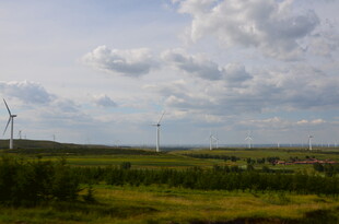 草原上的风力发电机组
