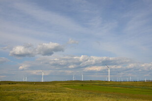 草原上的风力发电机组