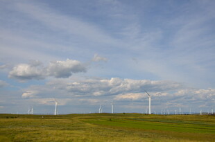 草原上的风力发电机组