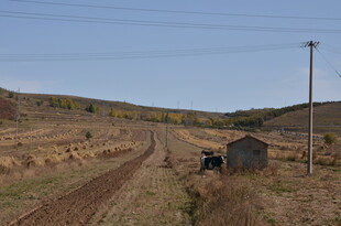 田野中的小屋与乡间小路