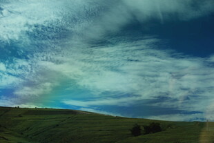 草原上空的绚丽彩虹