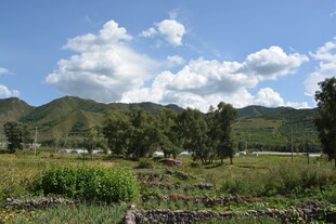 田园山野风光图