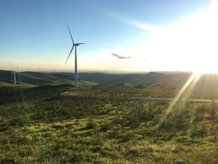 草原上的风力发电机