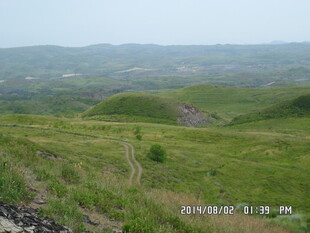 广袤绿野中的蜿蜒小径