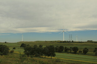 田野上的风力发电机组