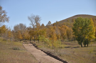秋日乡间小路风景
