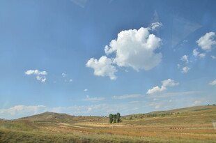 草原蓝天景 悠然好风光