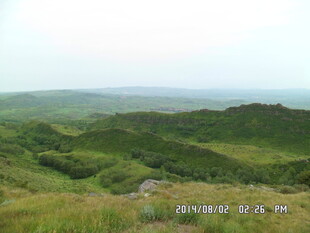 绿意盎然的山间景色