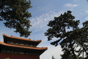中式古建筑与蓝天绿树