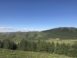 青山绿树间的开阔美景