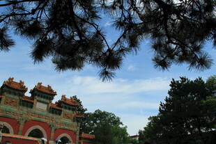 中式建筑与枝头景致