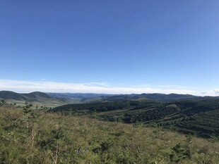 山间美景 开阔蓝天与绿野