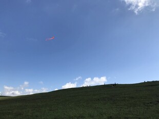 蓝天绿地间的开阔景致