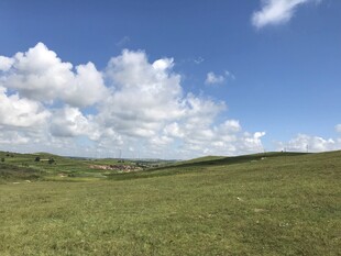 广袤草原蓝天白云美景