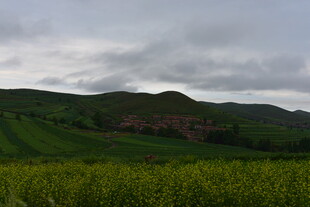 田园绿野间的自然风光