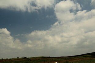 蓝天白云下的开阔原野