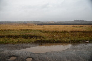 雨中旷野的积水路面