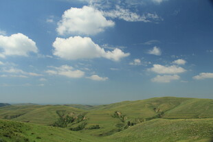 广袤绿野上的蓝天白云