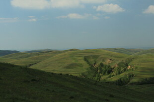广袤绿野山丘风景