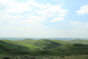 绿色山丘间的清新风景