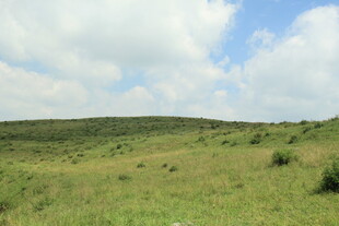 广袤草原 蓝天白云美景