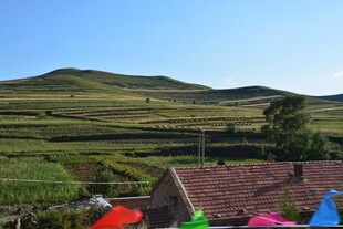 乡村多彩景致 田园风光美