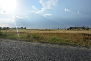 公路边的开阔田野风光