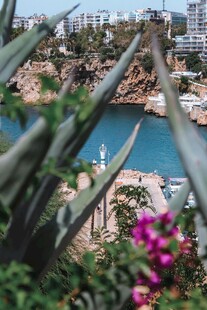 俯瞰海岸边的绿植与水景