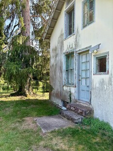 老旧房屋旁的绿意庭院