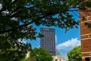 绿树掩映下的城市高楼