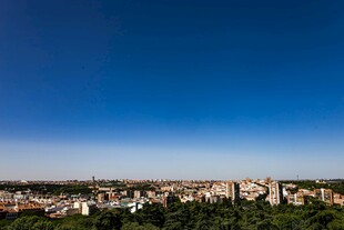 城市天际线与蓝天绿树