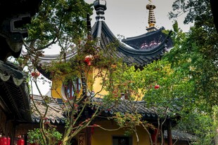 古雅中式建筑隐于绿树间