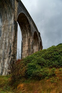 古老石拱桥下的葱郁植被