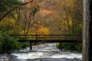 秋日溪流上的古朴小桥