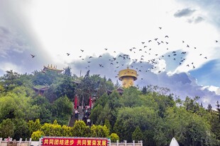 山林中的金色建筑景观