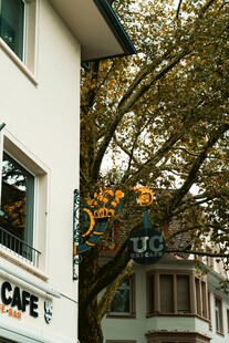 街边咖啡馆外的装饰树