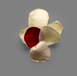 玫瑰花瓣组合的独特造型