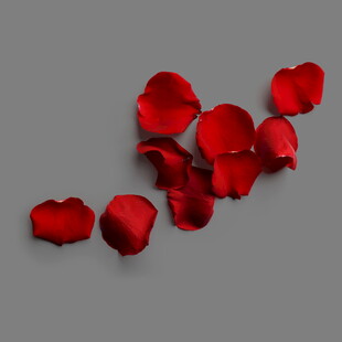 散落的红色玫瑰花瓣