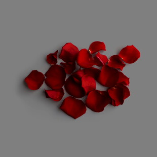 散落的红色玫瑰花瓣