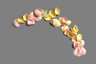 花瓣组成的弧形装饰