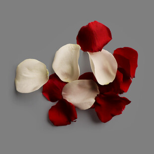 红白色玫瑰花瓣浪漫画面